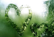 西甲拉斯帕尔马斯对阵皇马，谁能在这场较量中占得先机？